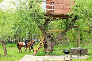 Дом на дереве